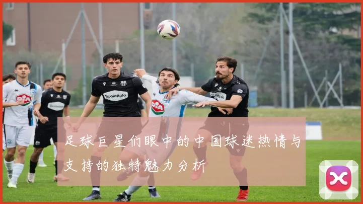 足球巨星们眼中的中国球迷热情与支持的独特魅力分析