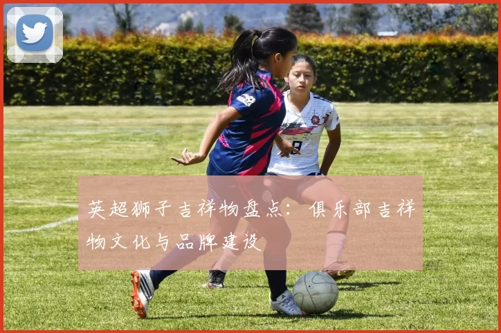 英超狮子吉祥物盘点：俱乐部吉祥物文化与品牌建设
