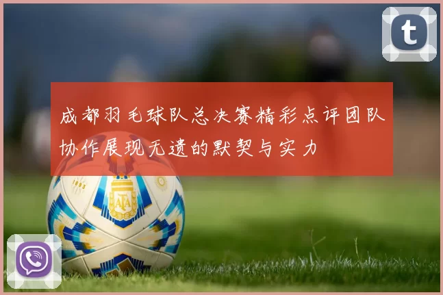 成都羽毛球队总决赛精彩点评团队协作展现无遗的默契与实力