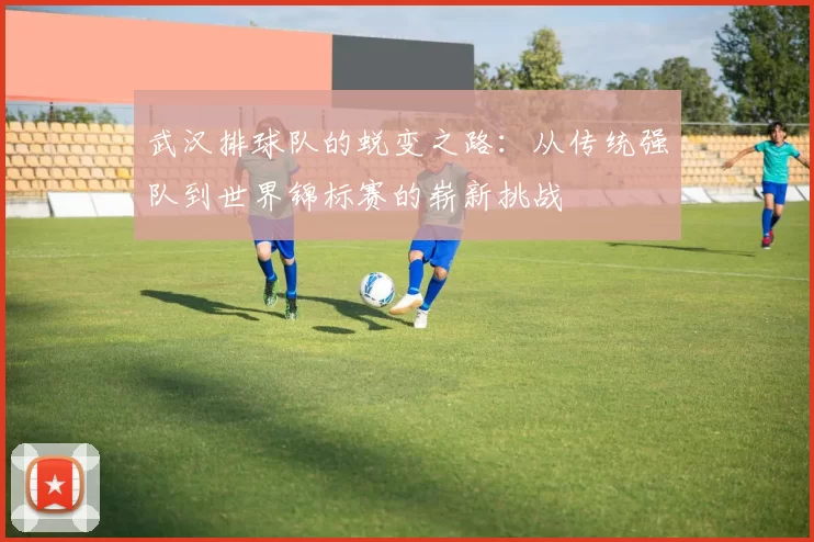 武汉排球队的蜕变之路：从传统强队到世界锦标赛的崭新挑战