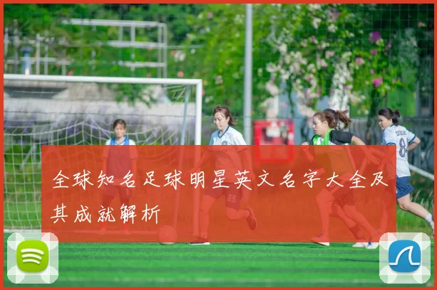全球知名足球明星英文名字大全及其成就解析