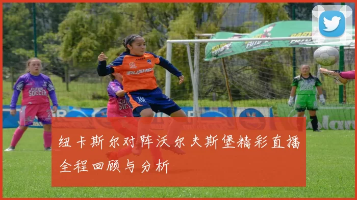 纽卡斯尔对阵沃尔夫斯堡精彩直播全程回顾与分析