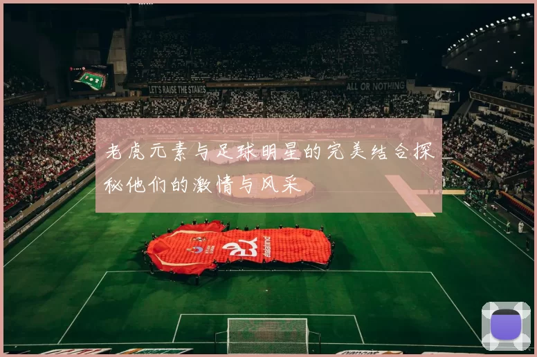 老虎元素与足球明星的完美结合探秘他们的激情与风采
