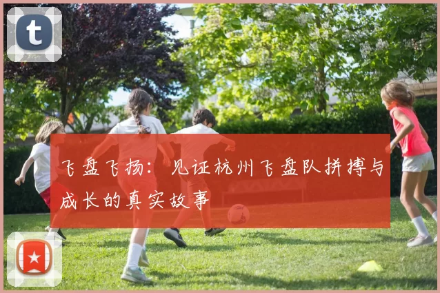飞盘飞扬：见证杭州飞盘队拼搏与成长的真实故事