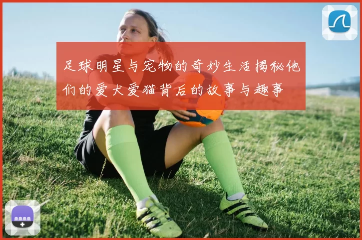 足球明星与宠物的奇妙生活揭秘他们的爱犬爱猫背后的故事与趣事