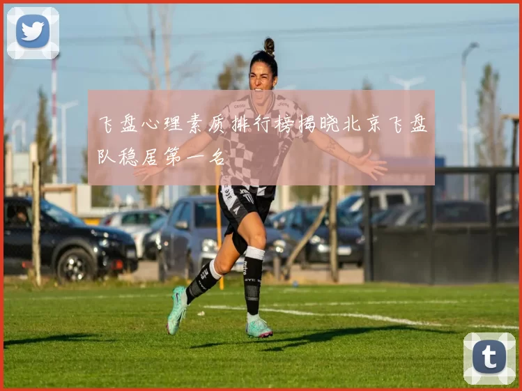 飞盘心理素质排行榜揭晓北京飞盘队稳居第一名