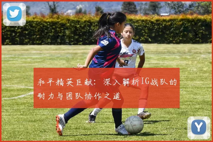 和平精英巨献：深入解析IG战队的耐力与团队协作之道